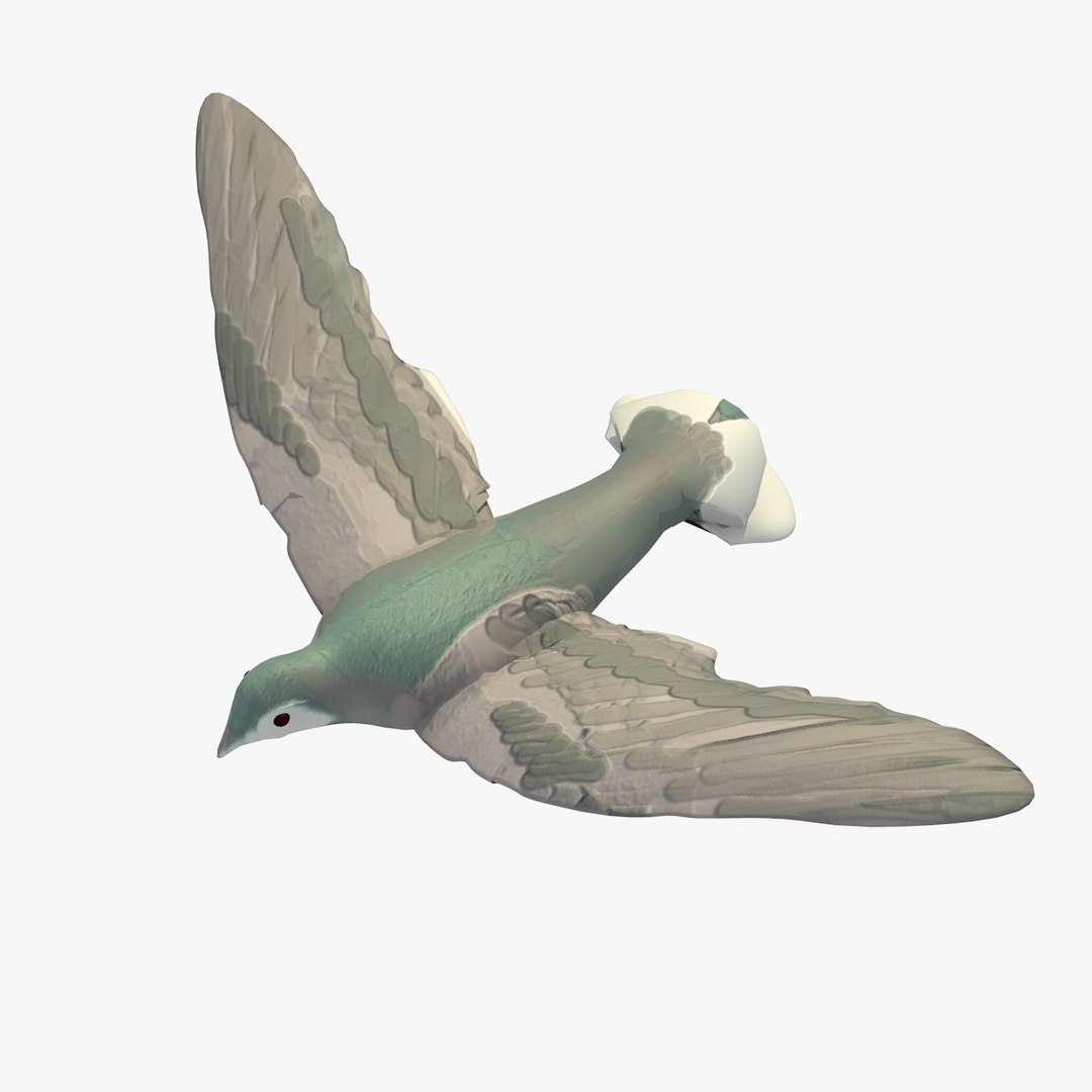 3d model single flying pigeon animation https://p.turbosquid.com/ts-thumb/si/chh6hc/a3YLvFz8/singlepigeonflying8/jpg/1455113759/1920x1080/fit_q87/d6ce0d919592071ec094530ebd6a69a0df50f9e7/singlepigeonflying8.jpg