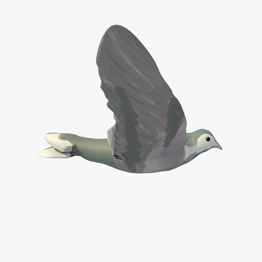 3d model single flying pigeon animation https://p.turbosquid.com/ts-thumb/si/chh6hc/bQ51mtWB/singlepigeonflying5/jpg/1455113758/1920x1080/fit_q87/916a829ed671b1f53afc640635ab4314b03d9327/singlepigeonflying5.jpg