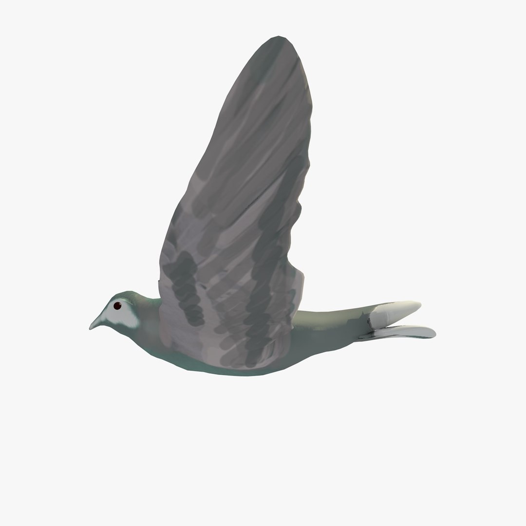 3d model single flying pigeon animation https://p.turbosquid.com/ts-thumb/si/chh6hc/dVktMzis/singlepigeonflying2/jpg/1455113758/1920x1080/fit_q87/ec45982829d7275c4f12e45ca2714704106f2ba9/singlepigeonflying2.jpg