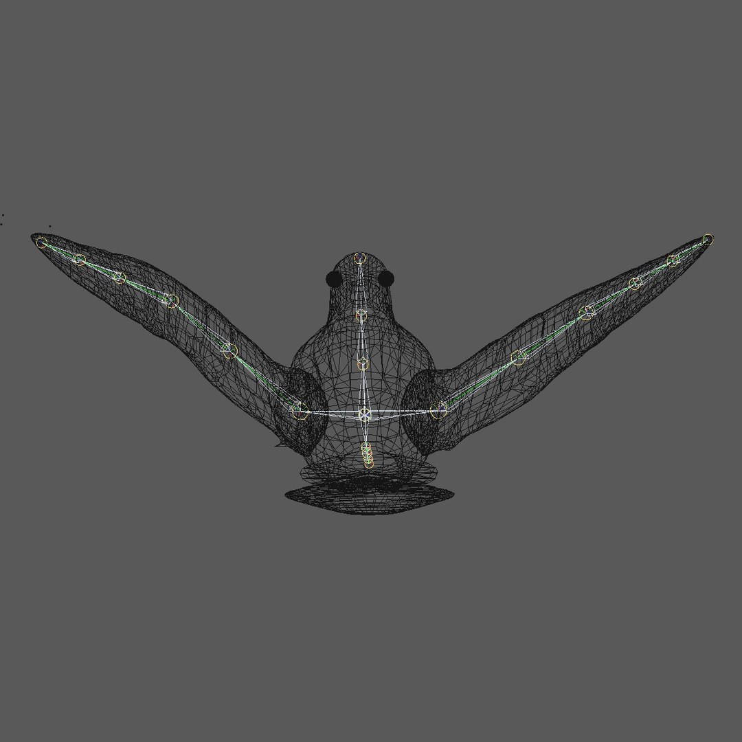 3d model single flying pigeon animation https://p.turbosquid.com/ts-thumb/si/chh6hc/tStEYSrV/singlepigeonflying12/jpg/1455113759/1920x1080/fit_q87/816169a4c1b7ad8821cf9e4cd8b38d88a4c9be18/singlepigeonflying12.jpg