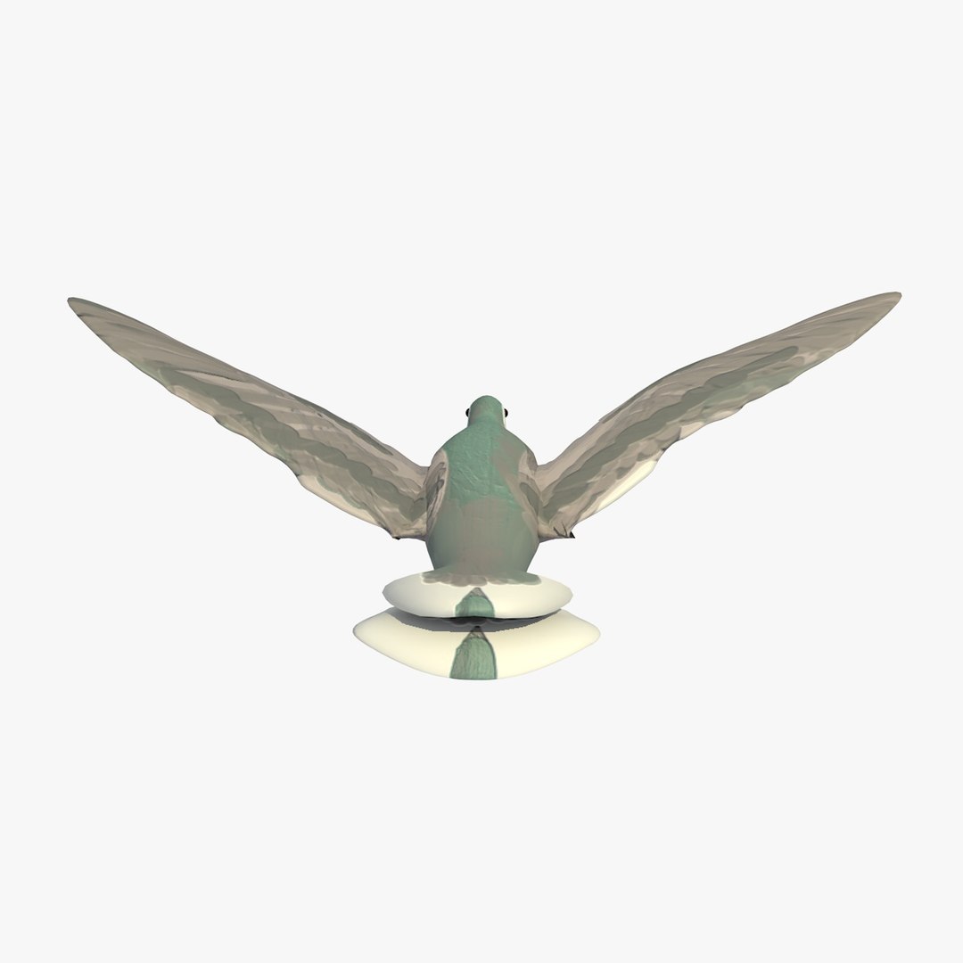 3d model single flying pigeon animation https://p.turbosquid.com/ts-thumb/si/chh6hc/zNsIw77S/singlepigeonflying4/jpg/1455113758/1920x1080/fit_q87/1fd67585dbf3bec57d74d697a018cc2c2d3f4c2f/singlepigeonflying4.jpg