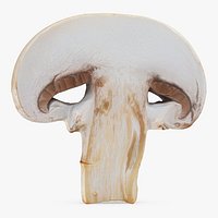 Champignon Mushroom Slice