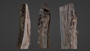 3D Cutted Log