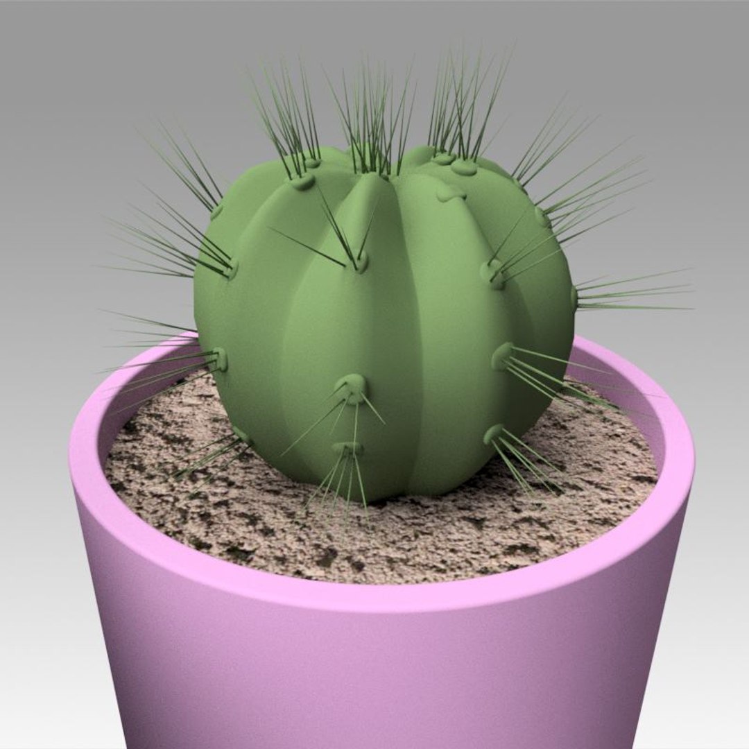 Modeled Cactus Model - TurboSquid 1385251