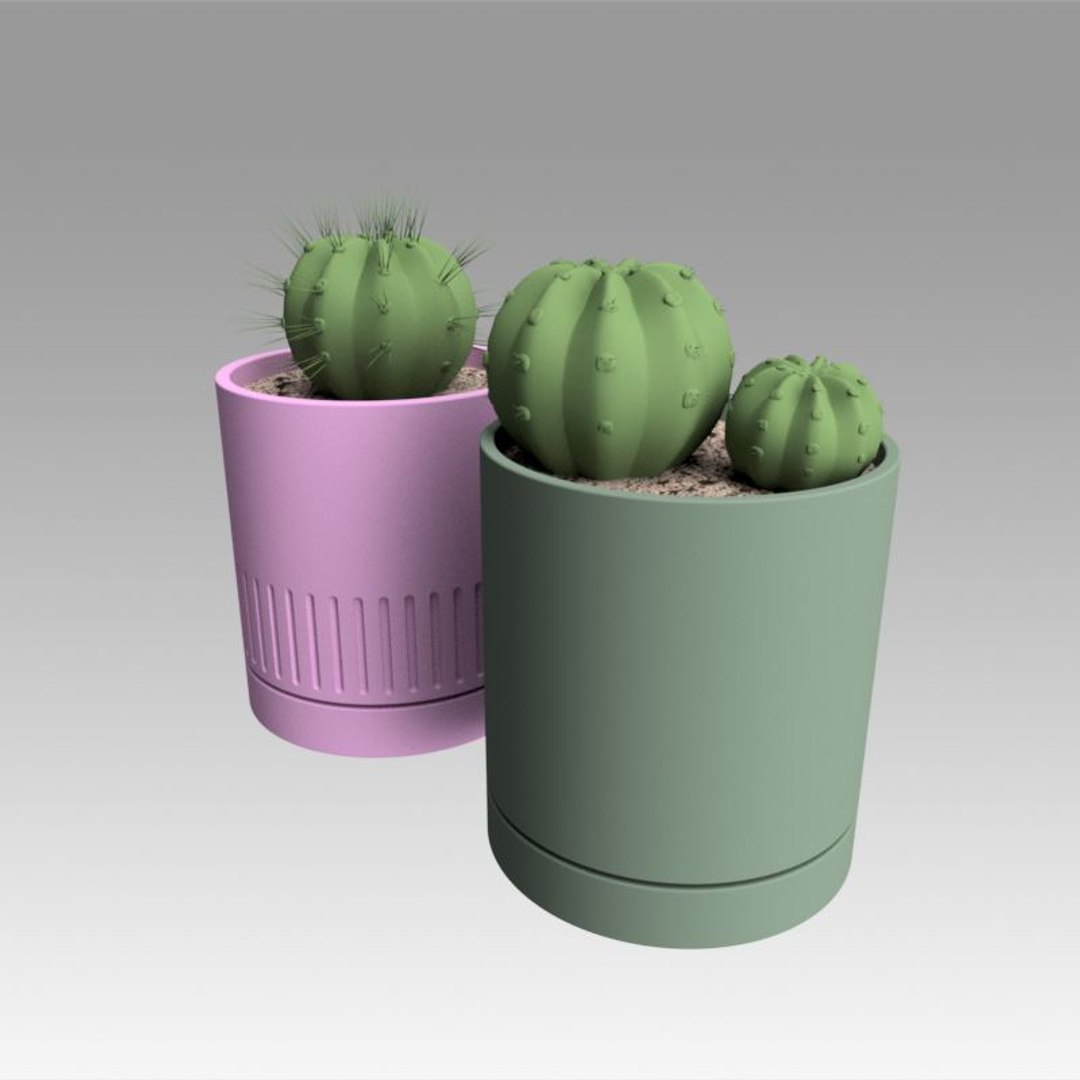 Modeled Cactus Model - TurboSquid 1385251