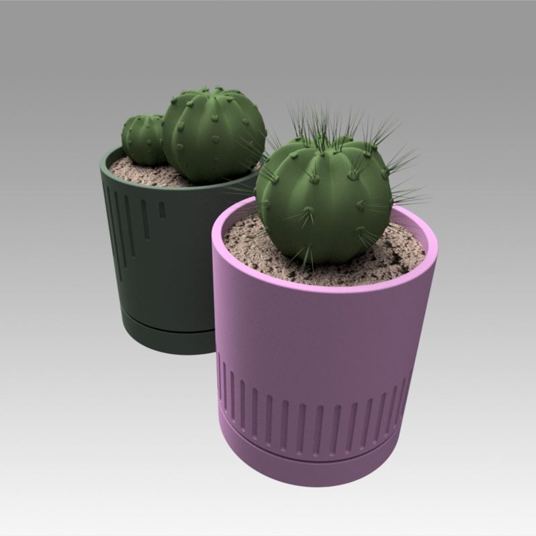 Modeled Cactus Model - TurboSquid 1385251