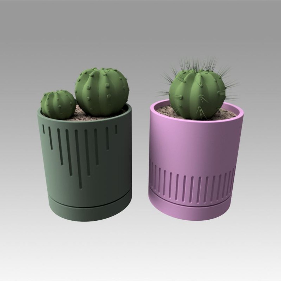 Modeled Cactus Model - TurboSquid 1385251