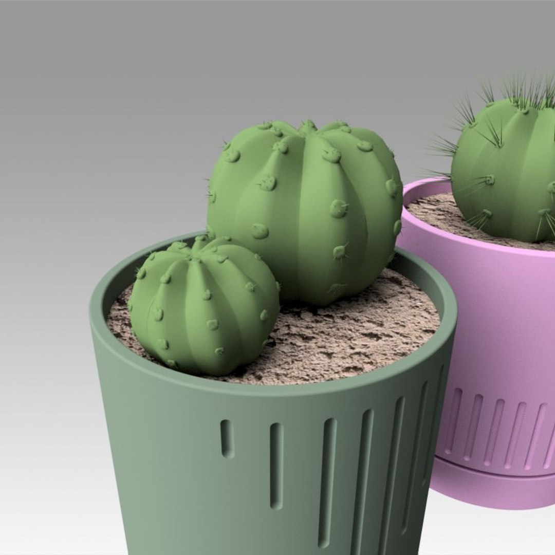 Modeled Cactus Model - TurboSquid 1385251