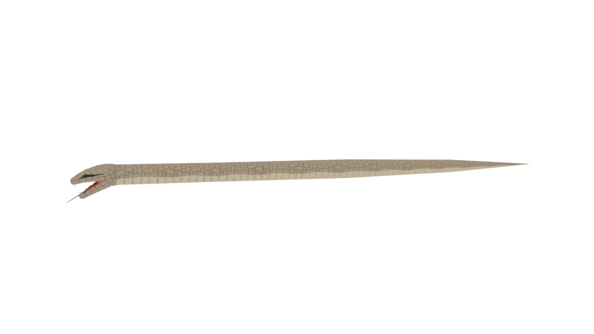 Snake Model - TurboSquid 2257161
