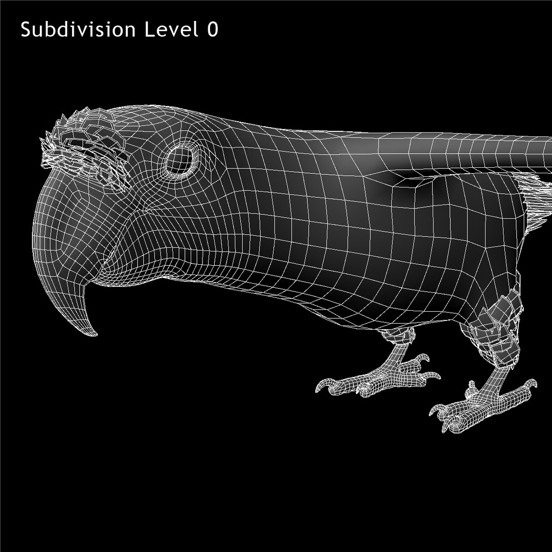 obj ara macao scarlet macaw https://p.turbosquid.com/ts-thumb/sj/KYcjAx/5nLwqocY/w05/jpg/1418737843/1920x1080/fit_q87/d13e35879be965c1c47a4b3d21133bfa9297a7f5/w05.jpg
