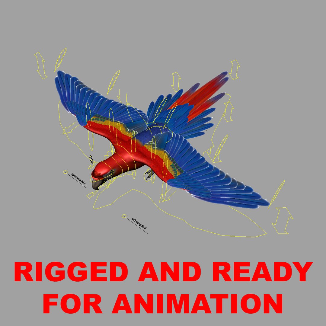 obj ara macao scarlet macaw https://p.turbosquid.com/ts-thumb/sj/KYcjAx/GBLS9DNz/rigged/jpg/1418741045/1920x1080/fit_q87/3fecfa75f56475db9e525dd2fa0ddf135cee16f8/rigged.jpg