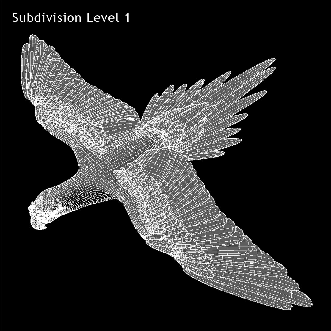 obj ara macao scarlet macaw https://p.turbosquid.com/ts-thumb/sj/KYcjAx/NsXo9F1B/w02/jpg/1418737843/1920x1080/fit_q87/14b9a5c07a3b58965d1ed140e926f8ab1fc1d900/w02.jpg