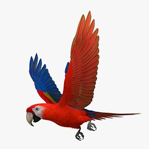 obj ara macao scarlet macaw