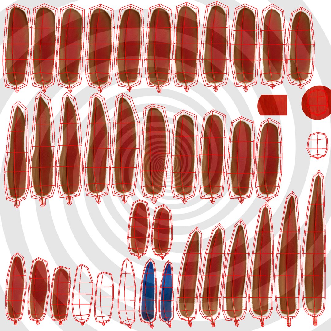 obj ara macao scarlet macaw https://p.turbosquid.com/ts-thumb/sj/KYcjAx/X8F5sN9r/feathersb_uv/jpg/1418738038/1920x1080/fit_q87/e50f182de5e03acecd3f53199936a41a99fe49a1/feathersb_uv.jpg