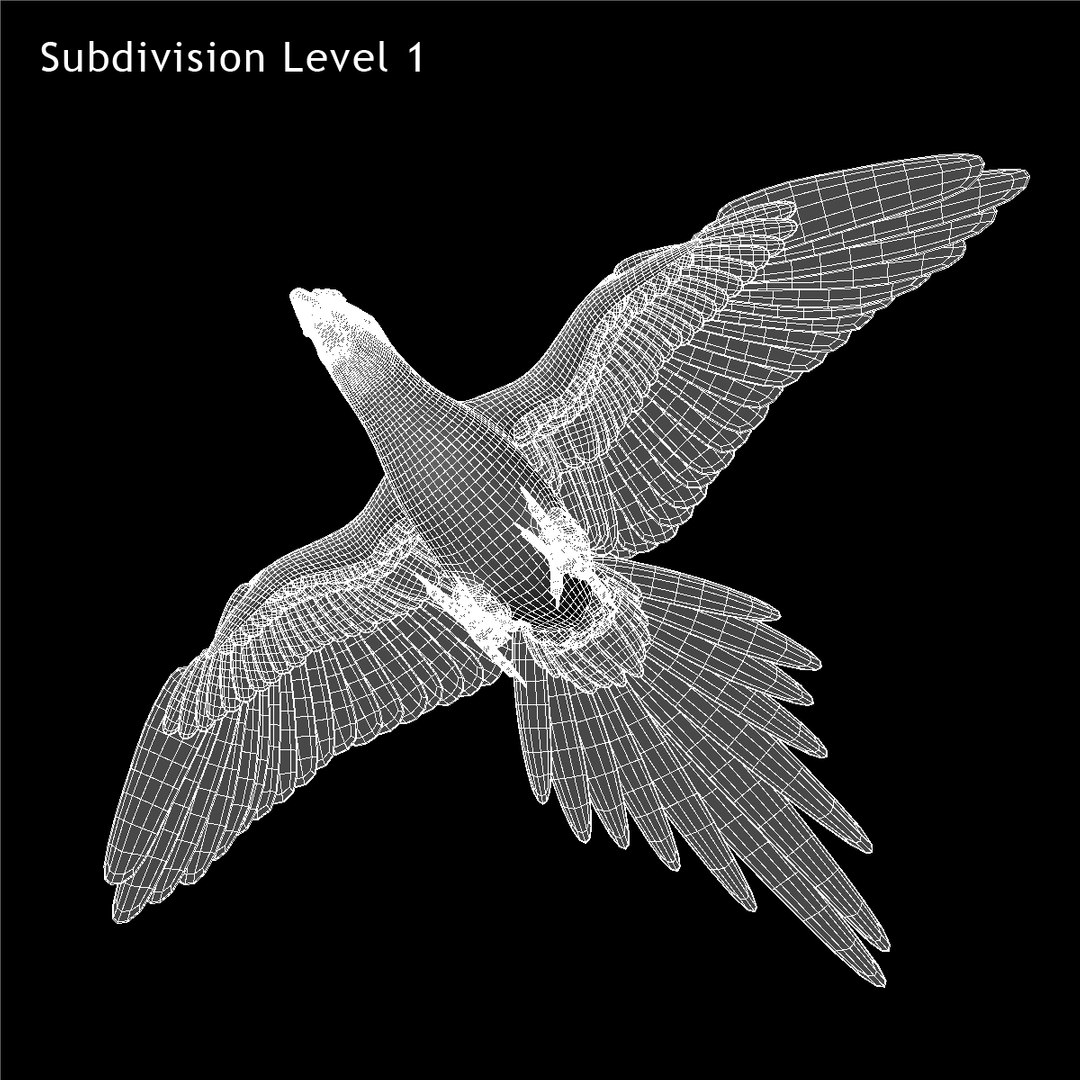 obj ara macao scarlet macaw https://p.turbosquid.com/ts-thumb/sj/KYcjAx/g7MOmGWE/w04/jpg/1418737843/1920x1080/fit_q87/baf670bddb0b98aeb31fd2c64a29c52c4a9c7504/w04.jpg