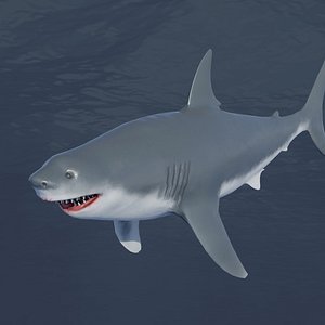 Great White Shark NO Rigged in Blender