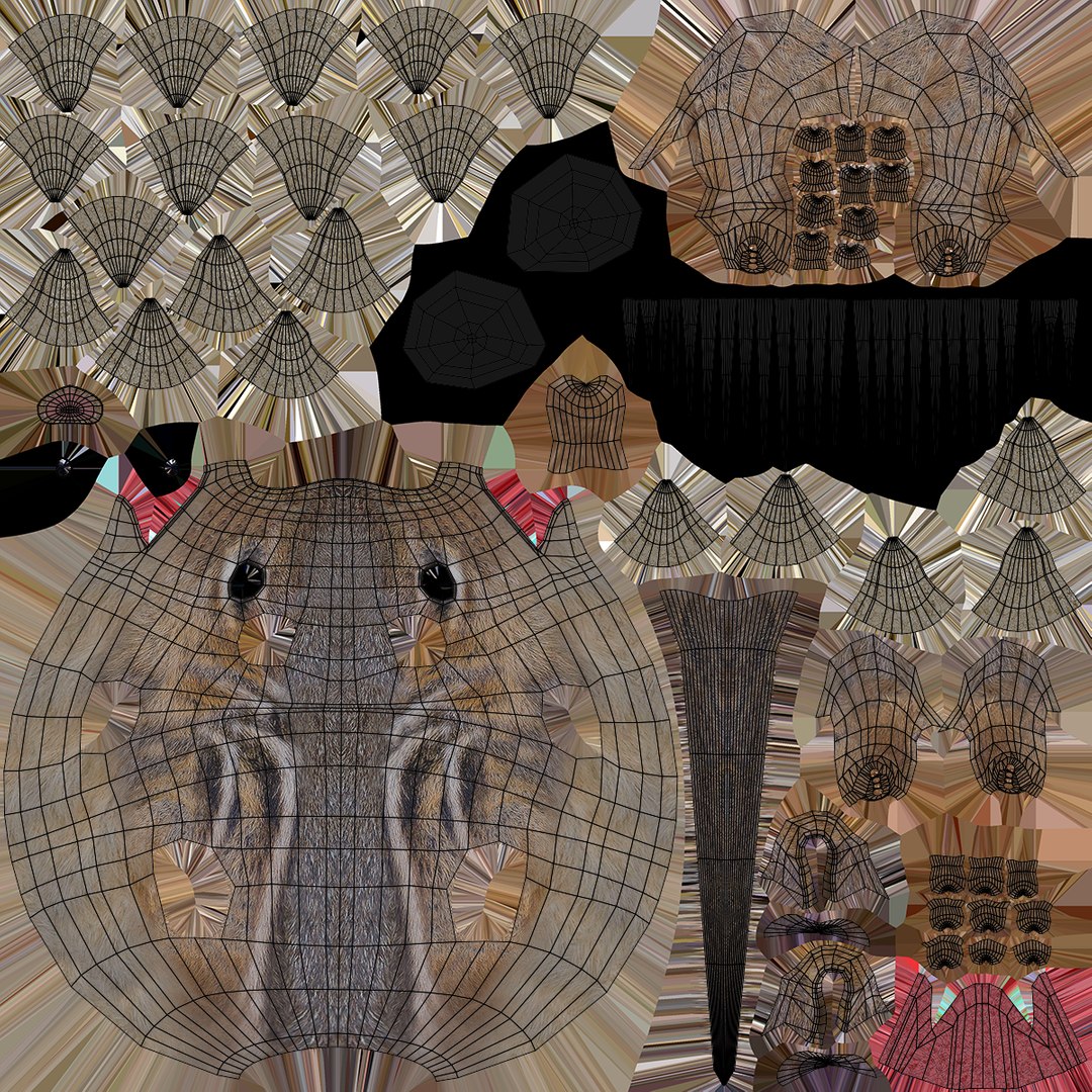 Chipmunk mammal animal 3D model - TurboSquid 1680610