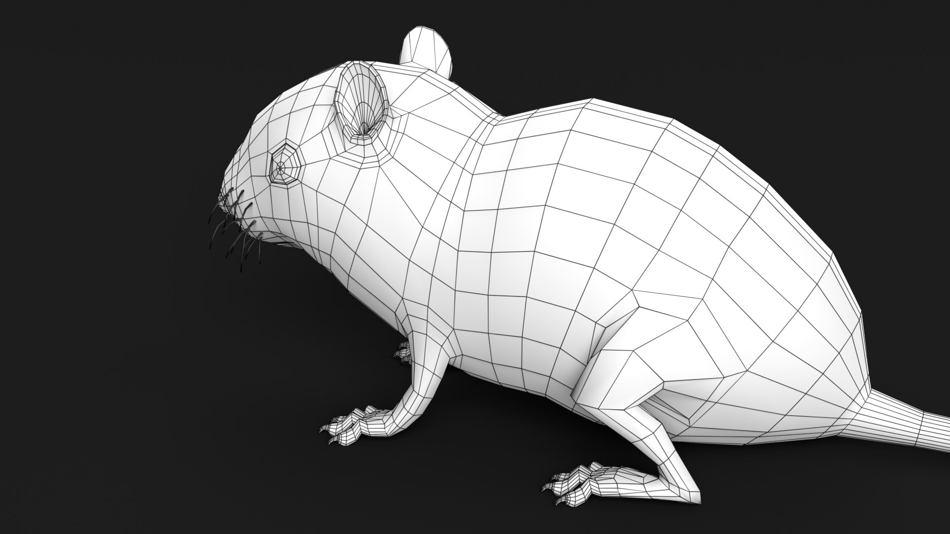 Chipmunk mammal animal 3D model - TurboSquid 1680610