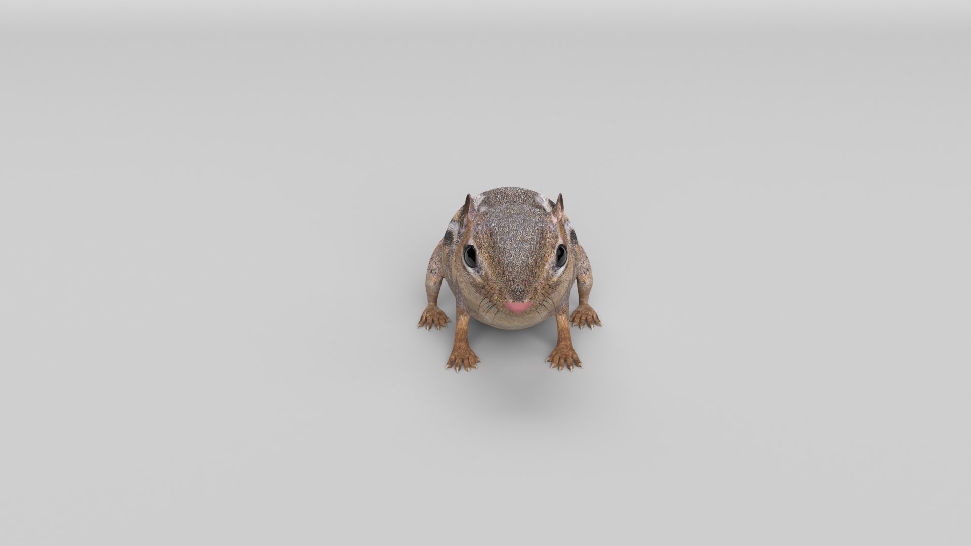 Chipmunk mammal animal 3D model - TurboSquid 1680610