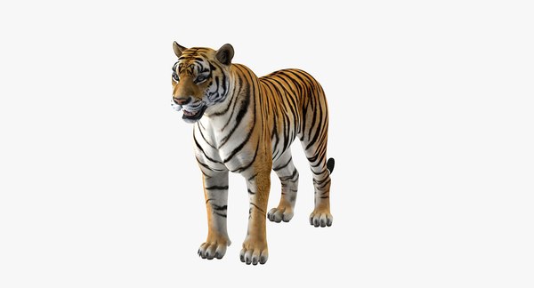 Tigre deitado Modelo 3D - TurboSquid 1272200