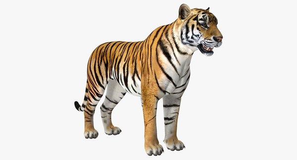 Tigre deitado Modelo 3D - TurboSquid 1272200