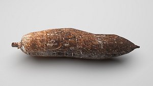 Cassava Manioc 3D model