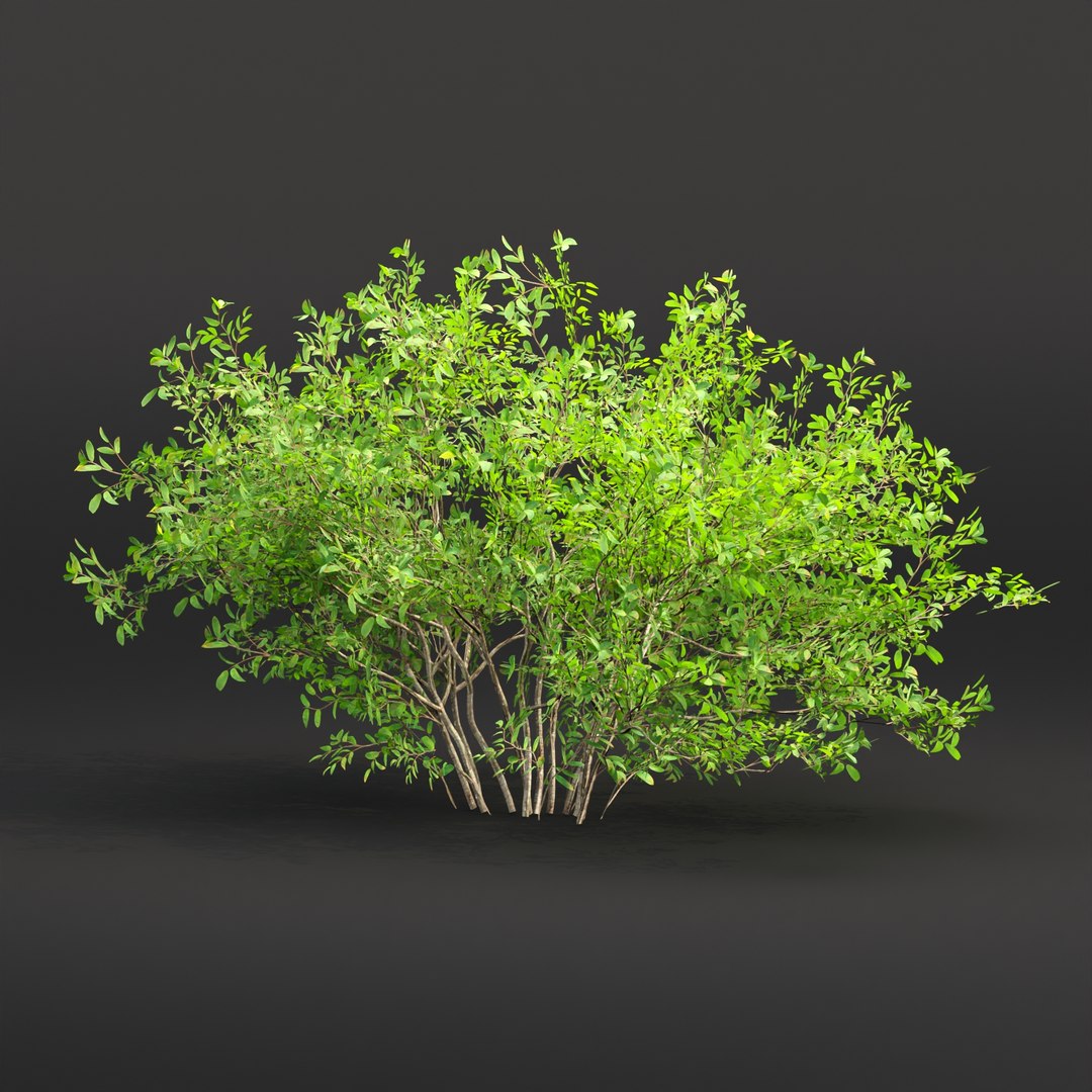 3D Low Poly Bushes Collection Vol 30-Blender-3dmodel Model - TurboSquid ...