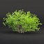 Collezione di cespugli low poly vol 30-Blender-3dmodel