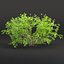 Collezione di cespugli low poly vol 30-Blender-3dmodel