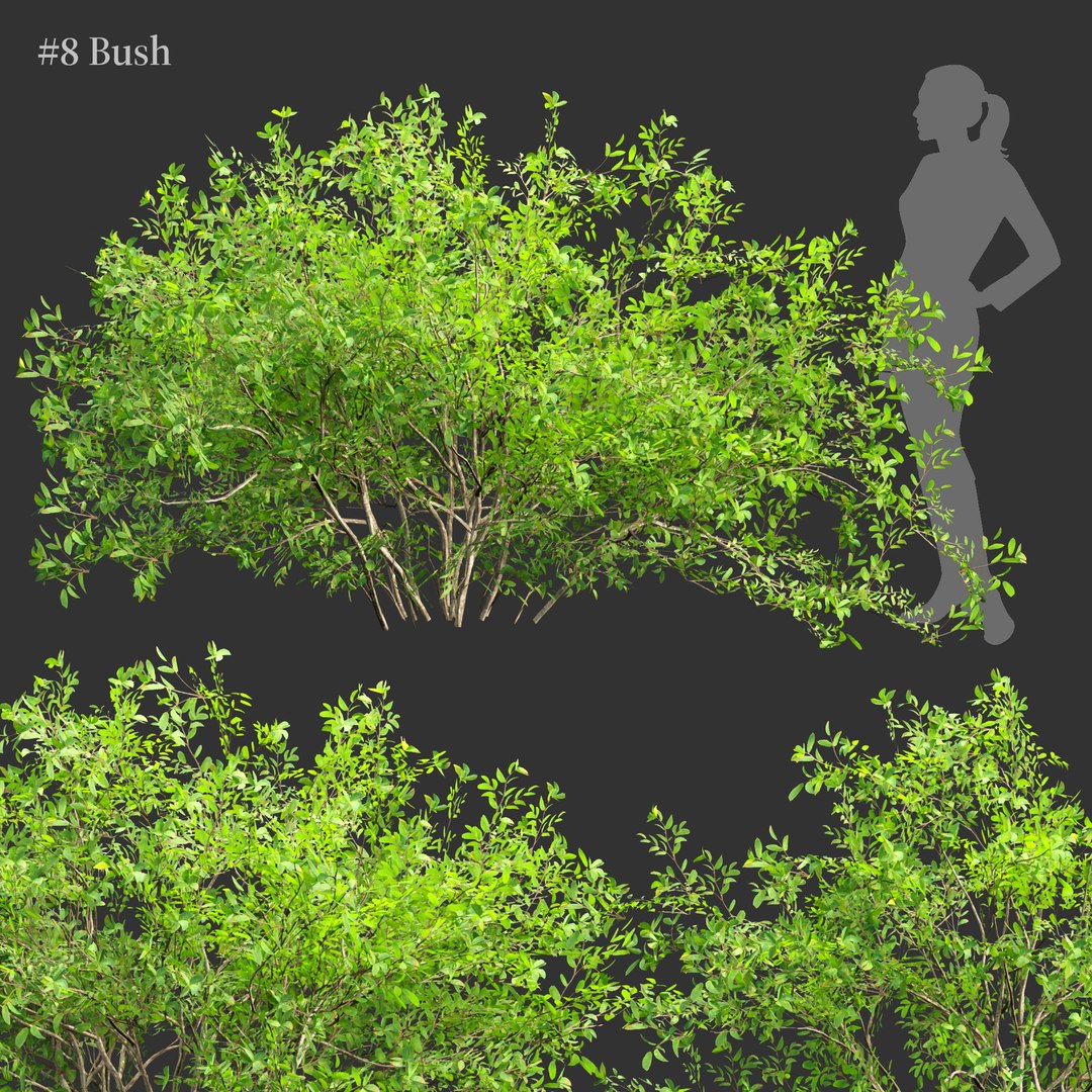 3D Low Poly Bushes Collection Vol 30-Blender-3dmodel Model - TurboSquid ...