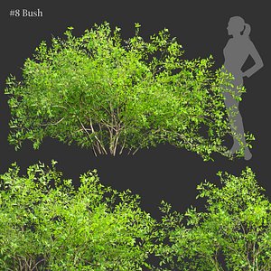 3D Low poly bushes collection vol 30-Blender-3dmodel model