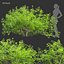 Collezione di cespugli low poly vol 30-Blender-3dmodel