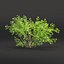 Collezione di cespugli low poly vol 30-Blender-3dmodel