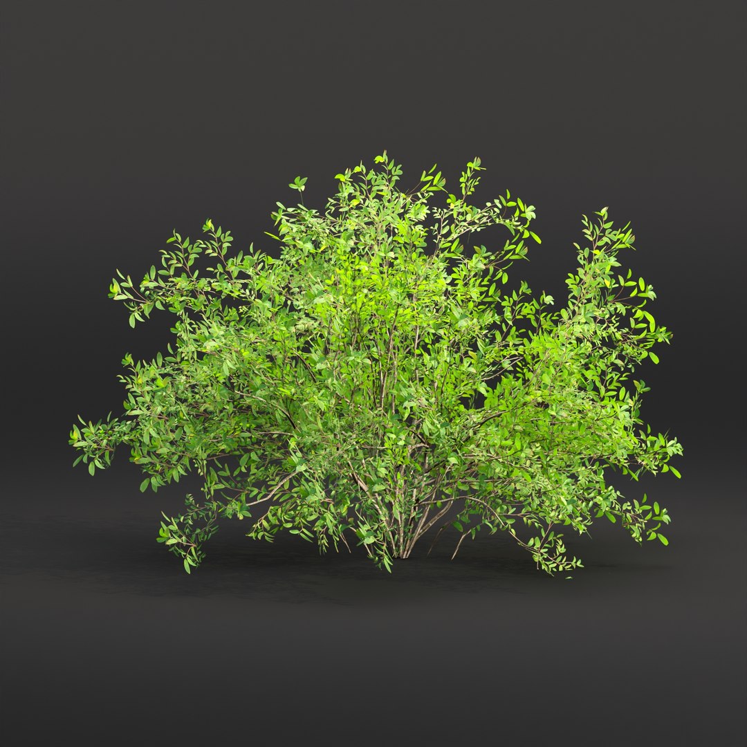 3D Low Poly Bushes Collection Vol 30-Blender-3dmodel Model - TurboSquid ...