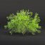 Collezione di cespugli low poly vol 30-Blender-3dmodel