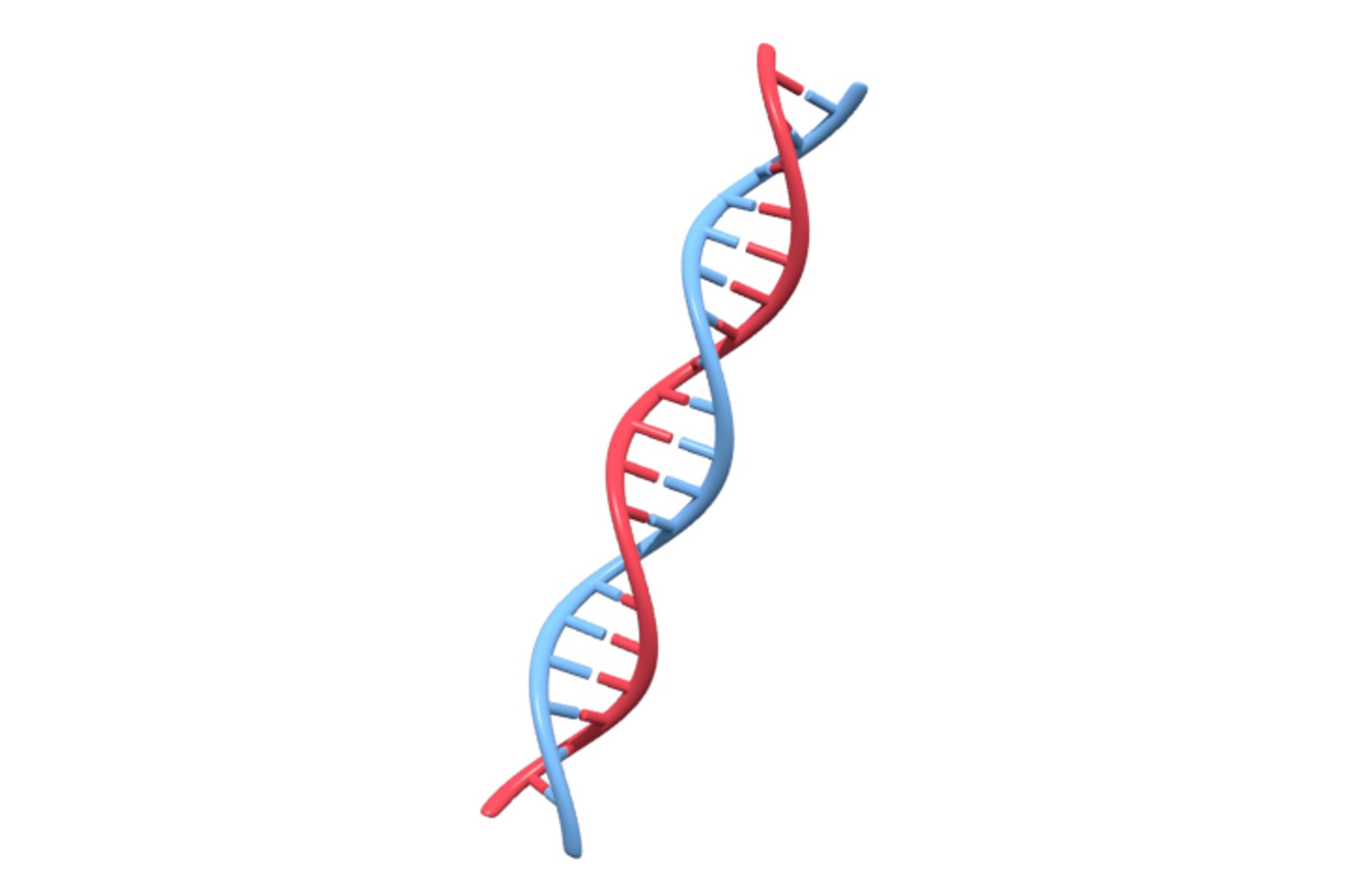 Dna Molecule Model - TurboSquid 1201110