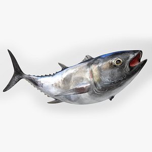 TUNA FISH Rigged L1542