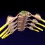 spinal cord covering transverse 3D model