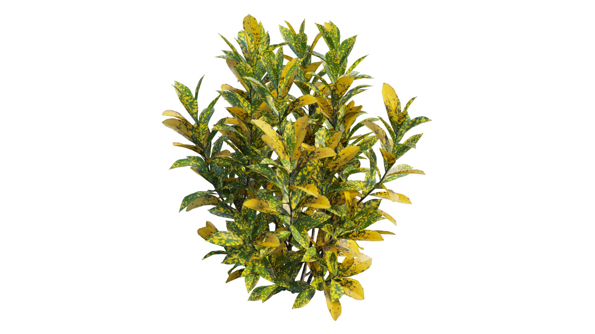 Croton plant set 16 3D https://p.turbosquid.com/ts-thumb/sj/yWrv20/rN/4_interactivelightmix/png/1629903305/1920x1080/fit_q87/8a56769c3061c7918532f224439aa0382113cab7/4_interactivelightmix.jpg