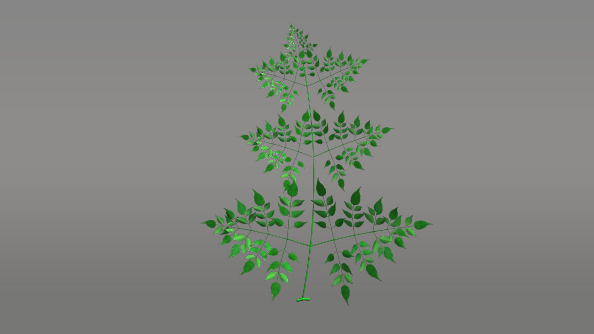 Millingtonia Tree Ma