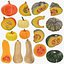 Pumpkin Collection 3