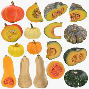 Pumpkin Collection 3