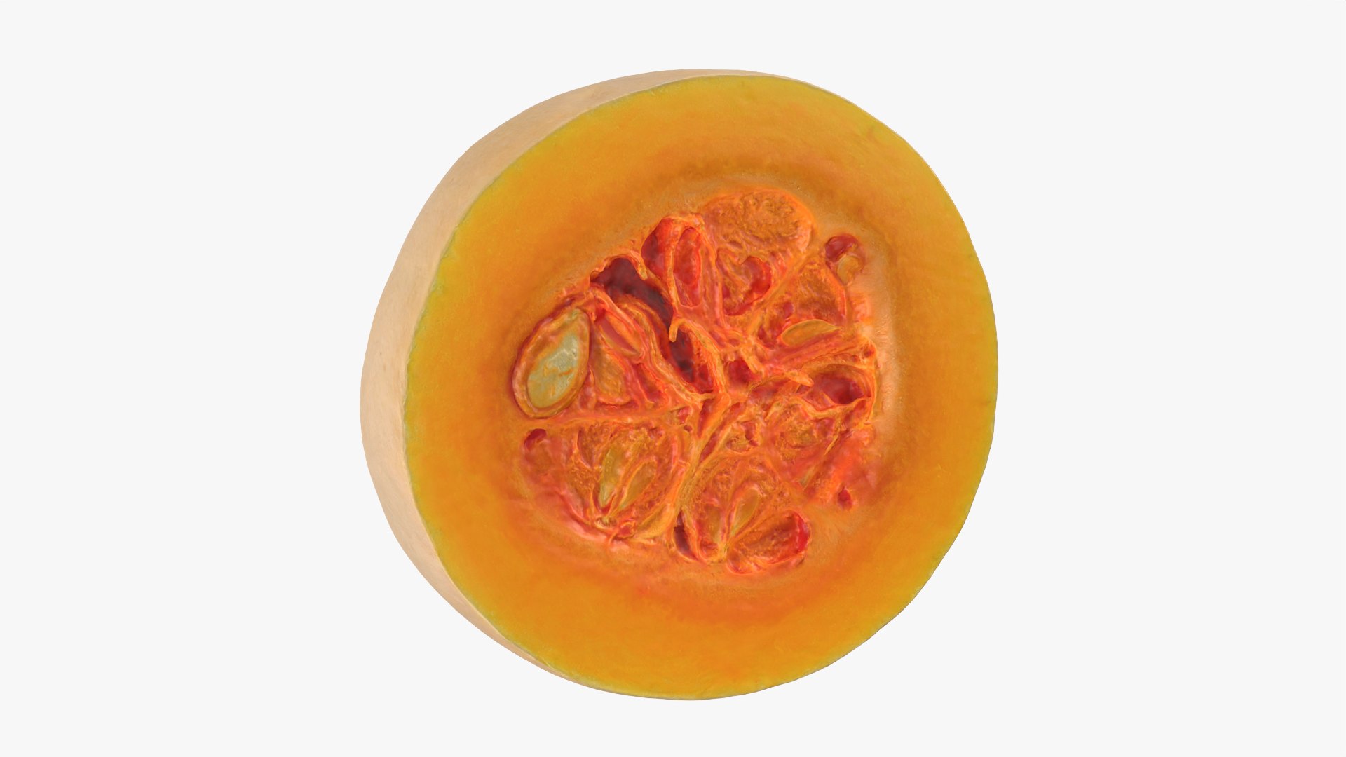 3D Pumpkin Collection 3 model https://p.turbosquid.com/ts-thumb/sk/aCVgMS/Qz/butternutsquashslice_0001/png/1772975842/1920x1080/fit_q87/a73c938f9b26d16b511b13f41518630731977e88/butternutsquashslice_0001.jpg