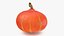 Pumpkin Collection 3
