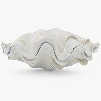 Giant Clam Shell