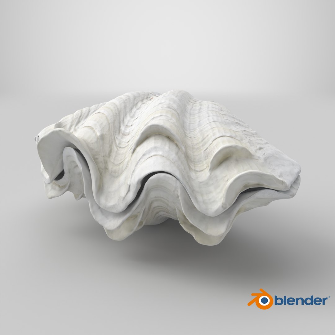 3D Giant Clam Shell model https://p.turbosquid.com/ts-thumb/sk/c5flDN/vp/stemcell_blender_cycles_render/png/1731508198/1920x1080/fit_q87/3a5b4b1212e0faf162398f91c9e80a6f24f72577/stemcell_blender_cycles_render.jpg