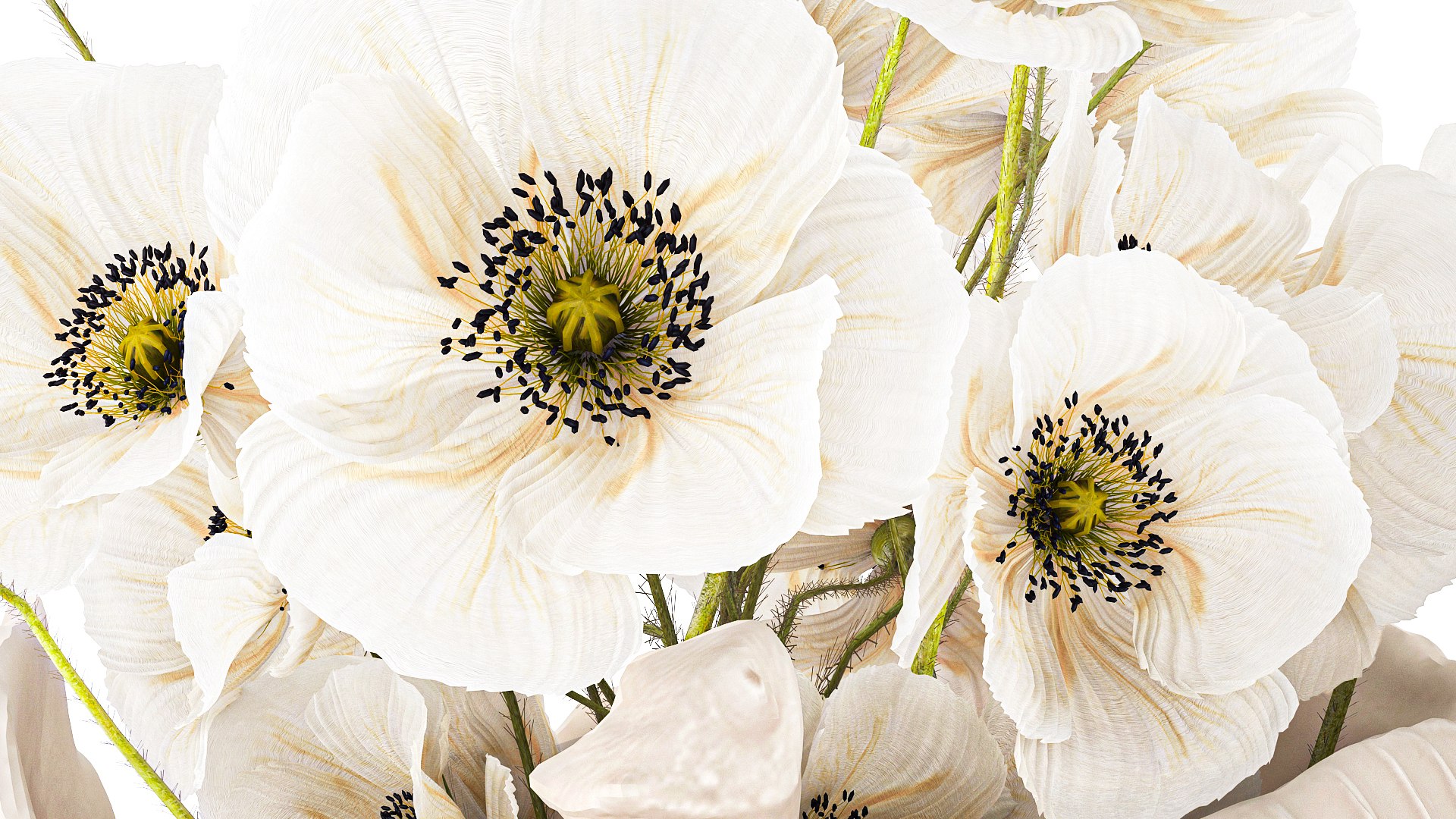 Beautiful Bouquet Wildflower White Poppy Chameleon Vase 3D Model ...