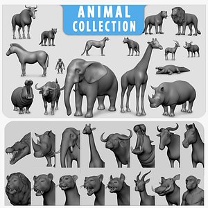 16 Wild Animal Colelction