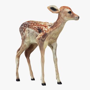 Fawn Remastered