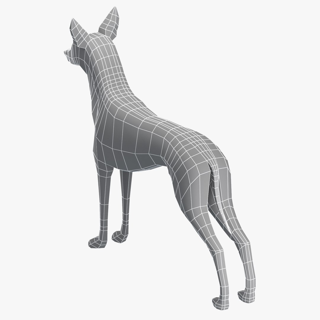 3D model base mesh pharaoh hound https://p.turbosquid.com/ts-thumb/sl/9k3fGs/46E4KVUT/pharaoh03/jpg/1495538051/1920x1080/fit_q87/b86355c31249ddd7c2ad928d992225d2780a3132/pharaoh03.jpg